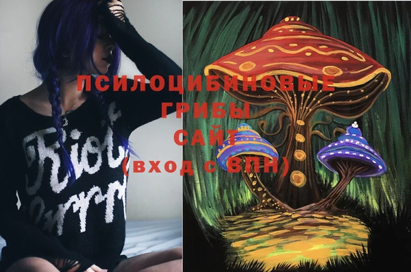 альфа пвп Беломорск