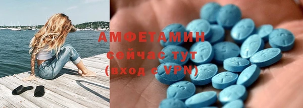 прущие грибы Баксан