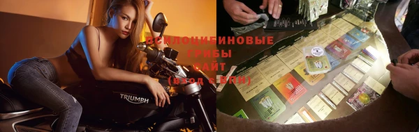 прущие грибы Баксан