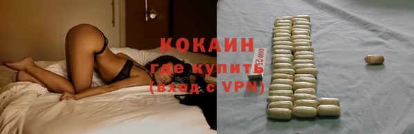 прущие грибы Баксан