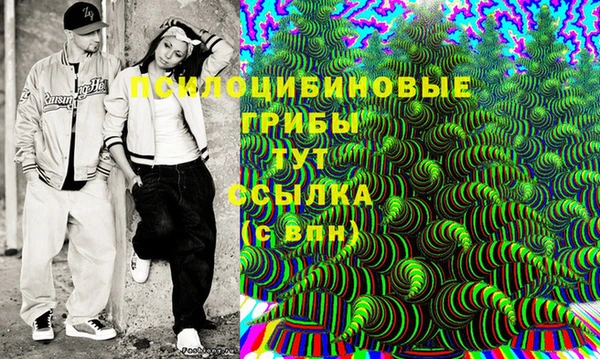 хмурый Зеленокумск