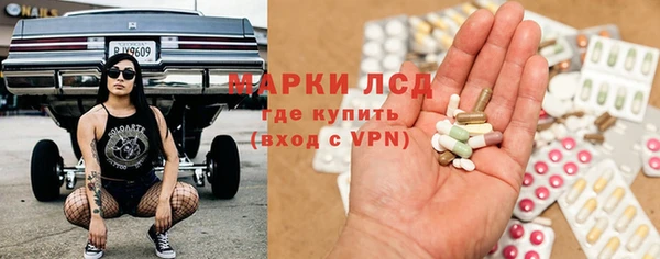 прущие грибы Баксан