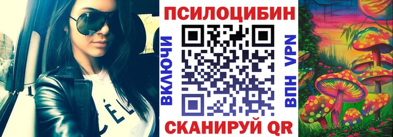 купить сайты Злынка blacksprut рабочий сайт Галлюциногенные грибы Cubensis